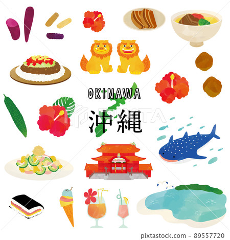 Okinawa local gourmet and tourist attraction watercolor touch illustration 89557720
