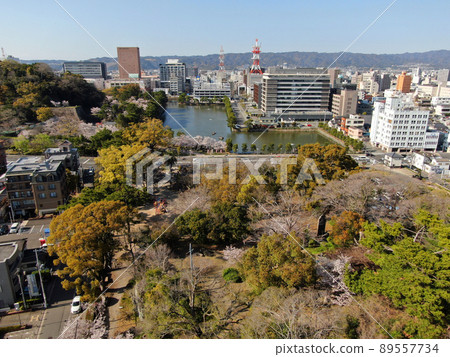 Aerial view of Wakayama Castle Park, the center of Wakayama City Aerial view of Wakayama Castle Park, the center of Wakayama City 89557734