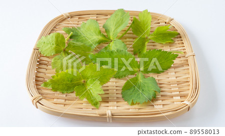 three-leaved  89558013