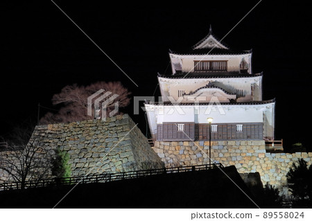 Marugame Castle's Honmaru Oshi Castle and Ishigaki 89558024