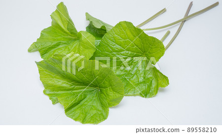 Leaf wasabi 89558210