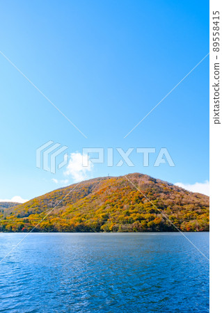 Akagiyama in autumn: Onuma 89558415