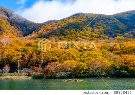 秋天赤城山 89558435