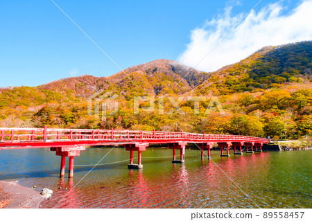 秋天的赤城山：鳥橋葉月 89558457