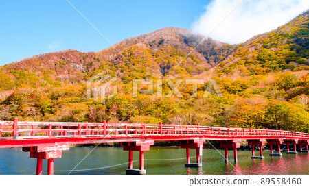 Akagiyama in Autumn: Hazuki Toribashi 89558460