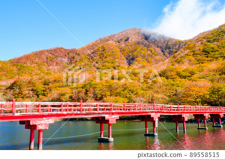 Akagiyama in Autumn: Hazuki Toribashi 89558515