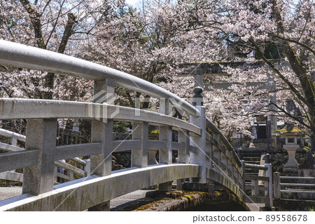 210405 護國神社櫻花z038 210405 護國神社櫻花z038 89558678