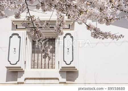 210405 護國神社櫻花z017 210405 護國神社櫻花z017 89558680