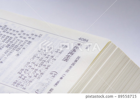 Civil Rehabilitation Law and Six Codes Complete Book 89558715