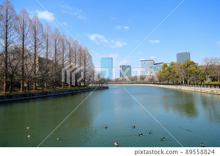 大阪城公園 大阪城公園 89558824