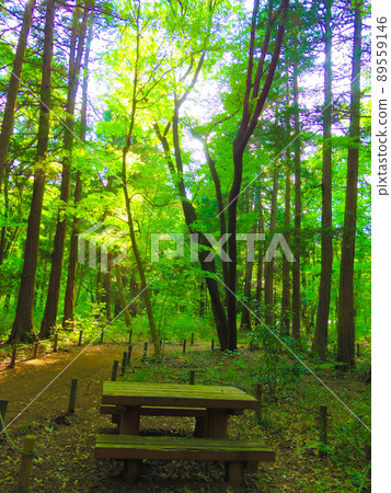 埼玉縣川越森林步道長椅 89559146
