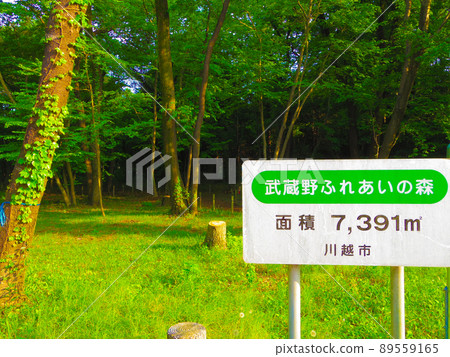 Saitama Prefecture Kawagoe Forest Walk Path Musashino Fureai no Mori signboard 89559165