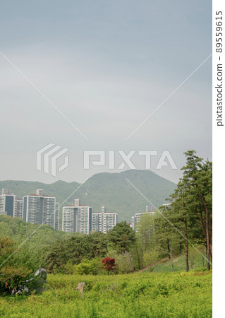 Chomakgol Eco Park green forest and apartment buildings in Gunpo, Korea 89559615