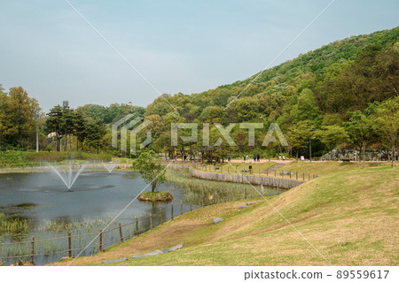 Chomakgol Eco Park pond and green forest in Gunpo, Korea 89559617