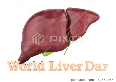 World liver day concept, 3D rendering World liver day concept, 3D rendering 89559767