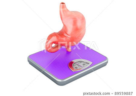 Weight scale with stomach. 3D rendering Weight scale with stomach. 3D rendering 89559887