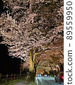 pink cherry blossom trees at night 89559950