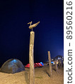 Sotdae and Lined Tents 89560216