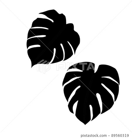 龜背竹剪影插圖集 89560319