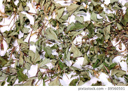 乾魚腥草葉 89560501