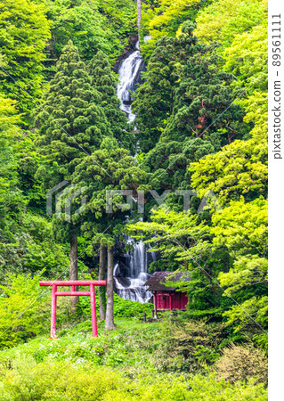 [Shiraito Falls, Yamagata Prefecture] Basho is also a scenic spot seen from the boat down the boat. 89561111