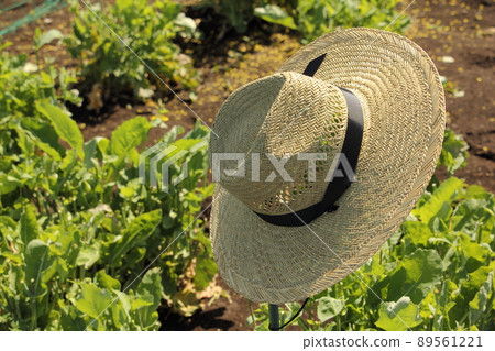 Straw hat for field work Straw hat for field work 89561221