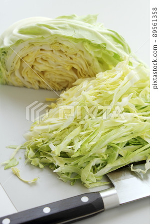 森吉里白菜 89561358