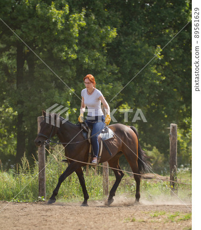 A redhead woman in white t-shirt and glasses riding a horse in nature. A redhead woman in white t-shirt and glasses riding a horse in nature. 89561629