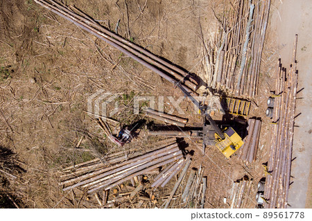 Wood log loader to large transportation truck Wood log loader to large transportation truck 89561778