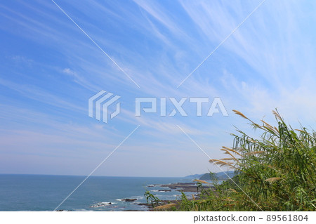 藍天、雲海、沿海植物 藍天、雲海、沿海植物 89561804