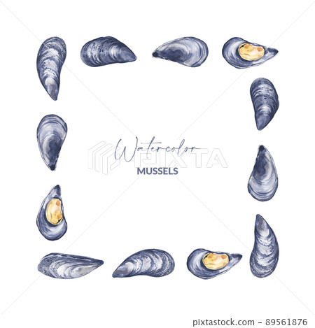 Frame with watercolor mussels Frame with watercolor mussels 89561876