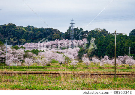 靜岡縣岩田市五台島新平山工業園周邊風景 靜岡縣岩田市五台島新平山工業園周邊風景 89563348