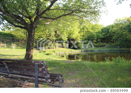公園長椅和池塘 公園長椅和池塘 89563499