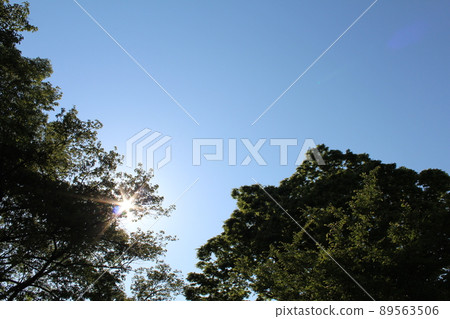 藍天和太陽 藍天和太陽 89563506
