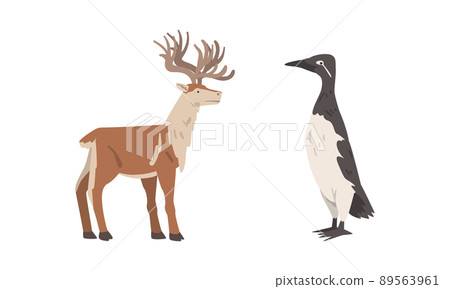 Uria Seabird and Reindeer with Antlers as Arctic Animal and Wild Mammal Vector Set Uria Seabird and Reindeer with Antlers as Arctic Animal and Wild Mammal Vector Set 89563961