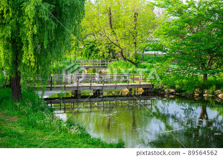 Selected 100 Exquisite Waters Azumino Wasabida Spring Water Group 89564562