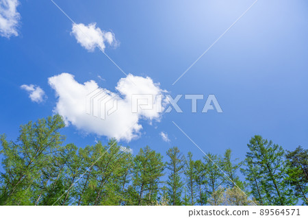 Spring Shinshu blue sky and fresh green 89564571