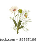 Bouquet with wild flowers and leaves. Vintage illustration for fabric design. Foliage illustration. Trendy floral 89565196