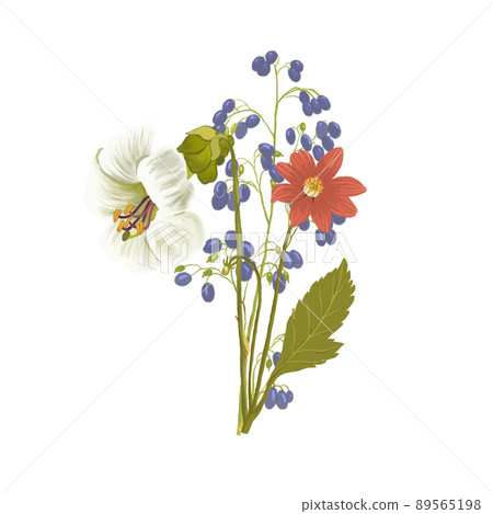 Bouquet with wild flowers and leaves. Vintage illustration for fabric design. Foliage illustration. Trendy floral Bouquet with wild flowers and leaves. Vintage illustration for fabric design. Foliage illustration. Trendy floral 89565198
