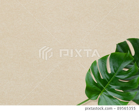 Monstera leaf and paper texture Monstera leaf and paper texture 89565355