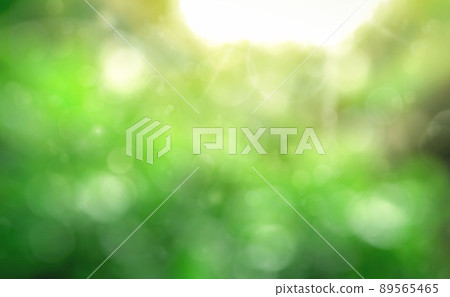 Fresh and green leaves green bokeh on nature abstract blur background green bokeh from tree.Mock up for display. 89565465