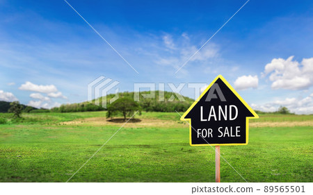land for sale sign against trimmed lawn background. Empty dry cracked swamp reclamation soil, land plot for housing construction project in rural area and beautiful blue sky 89565501