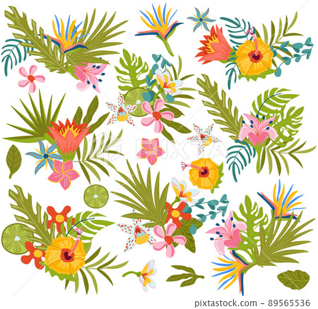 Set of cute Summer compositions, tropical leaves and exotic flowers other perfect for postcard, scrapbooking, beach party. Hot season. Vector illustration Set of cute Summer compositions, tropical leaves and exotic flowers other perfect for postcard, scrapbooking, beach party. Hot season. Vector illustration 89565536
