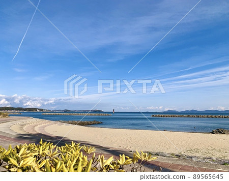 Spring Miyazaki Beach [Kira Waikiki Beach / Nishio City, Aichi Prefecture] 89565645