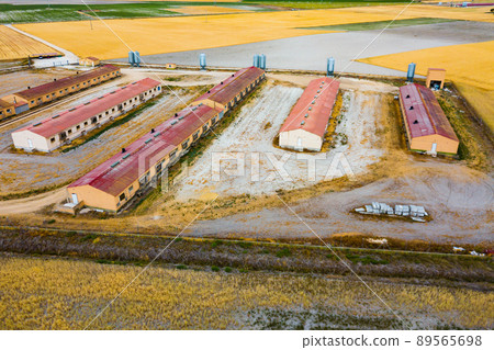 Aerial view of modern pig farm Aerial view of modern pig farm 89565698