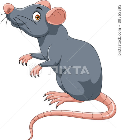 Cartoon happy mouse on white background Cartoon happy mouse on white background 89565895