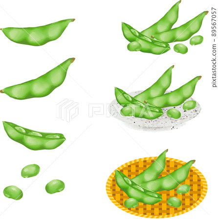 Summer edamame beer, watercolor, analog touch, food, snacks, vegetables, illustration material set 89567057