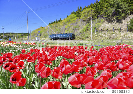 春天在北海道機古內町更木岬公園拍攝南北海道鐵路普通列車的風景 春天在北海道機古內町更木岬公園拍攝南北海道鐵路普通列車的風景 89568383