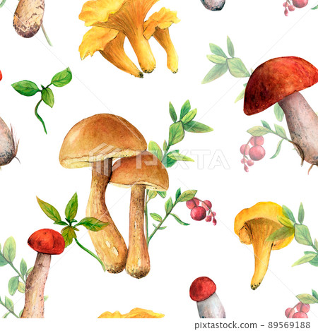 Seamless pattern of edible yellow mushrooms on a blue background with plants. Watercolor bright illustration, design for children's clothing, cafes, menus and fabrics, printing of packaging products. Seamless pattern of edible yellow mushrooms on a blue background with plants. Watercolor bright illustration, design for children's clothing, cafes, menus and fabrics, printing of packaging products. 89569188