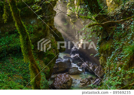 Green ravine with clean river Green ravine with clean river 89569235
